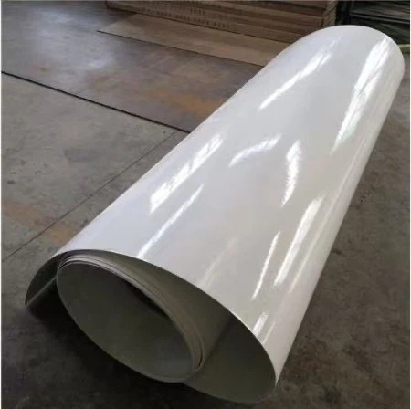 Hygienic Antibacterial Fiberglass Interior Wall Panels For Slaughterhouse high quality